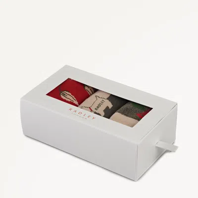 Radley London Pine Needle Sock Set In Red
