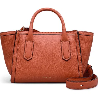 Radley London Radley The Amelie Small Ziptop Satchel Bag In Brown
