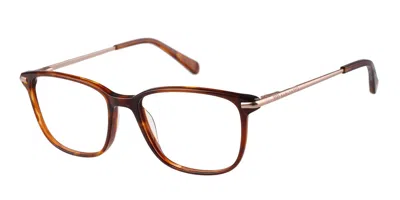Radley London Rdo 6048 102 Occhiali Da Vista Tartarugatishell Per Donna (solo Montatura) In Brown