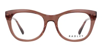 Radley London Rdo Ellory 103 Women's Glasses Brown Size 52 - Free Lenses - Blue Light Block Available