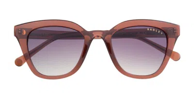 Radley London Rds 6527 151 Occhiali Da Sole Marroni Per Donna In Brown