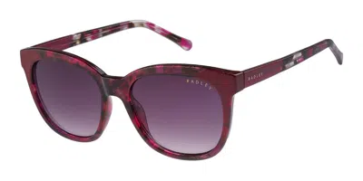Radley London Rds 6533 161 Occhiali Da Sole Tartarugatishell Per Donna In Multi