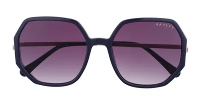 Radley London Rds 6538 106 Occhiali Da Sole Blu Per Donna In Purple