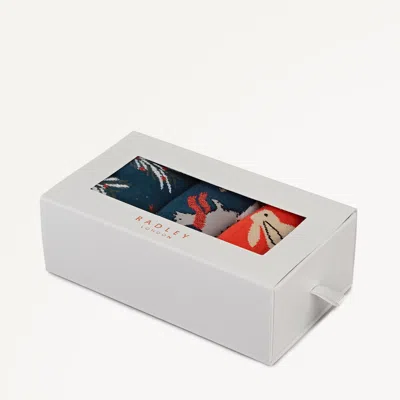 Radley London Teal Sock Set In Blue