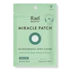 Rael Miracle Patch Microcrystal Spot Cover