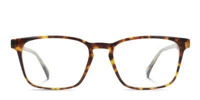 Raen Altin Tortoise