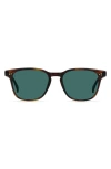 Raen Alvez 50mm Polarized Square Sunglasses In Kola Tort/ Pacifica