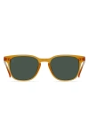 Raen Alvez Pol S399 Square Polarized Sunglasses In Green