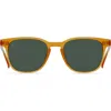 Raen Alvez Round Polarized Square Sunglasses In Honey/green Polar