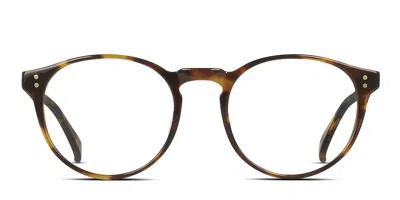Raen Beal Tortoise