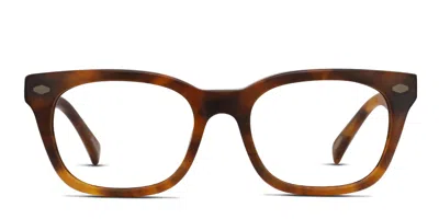 Raen Cannon Tortoise