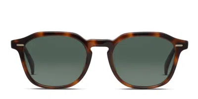 Raen Clyve Tortoise