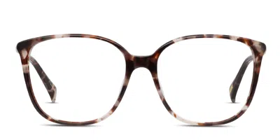 Raen Daisey Tortoise