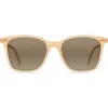 Raen Darine Oversize Polarized Square Sunglasses In Nectar/mink Gradient Mir