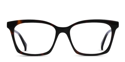 Raen Del Brown,tortoise