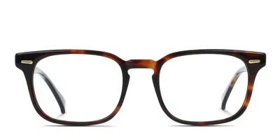 Raen Doheny Ii Tortoise