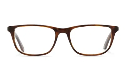 Raen Eightyfive-sixty Tortoise,brown
