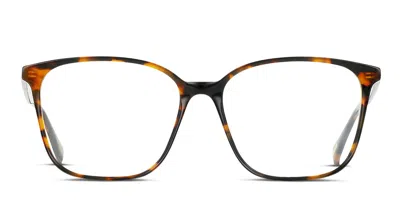 Raen Neese Tortoise