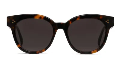 Raen Nikol Tortoise