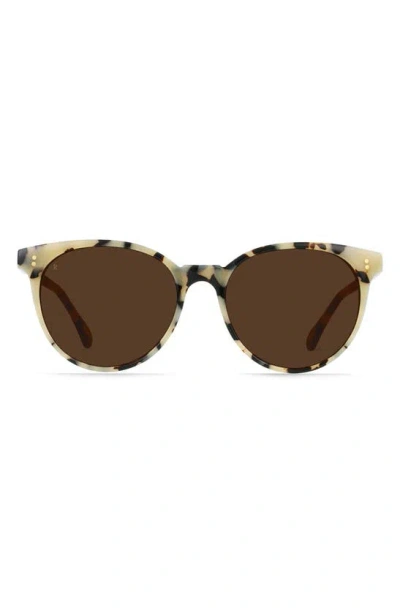 Raen Norie Polarized Cat Eye Sunglasses In Brown