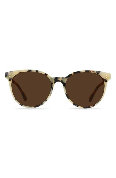 Raen Norie Polarized Cat Eye Sunglasses In Ivory Tortoise/carob