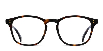 Raen Saint Malo Ii Tortoise