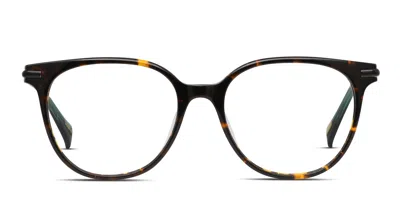 Raen Sosha Tortoise