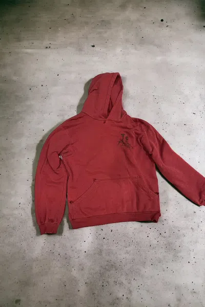 Pre-owned Raf Simons Virginia Creeper Roots Aw02 Hoodie In Red