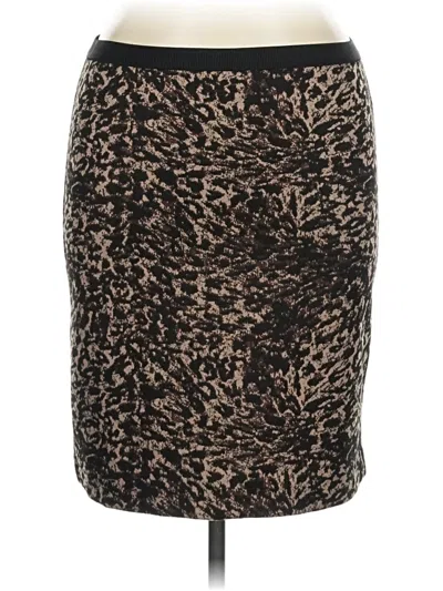 Pre-owned Rafaella Casual Skirt In Brown