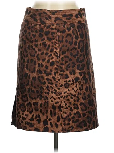 Pre-owned Rafaella Casual Skirt In Brown