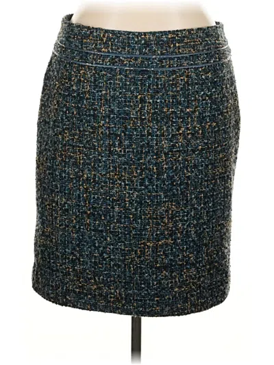 Pre-owned Rafaella Formal Skirt In Blue