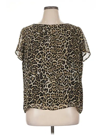 Pre-owned Rafaella Short Sleeve Blouse In Brown