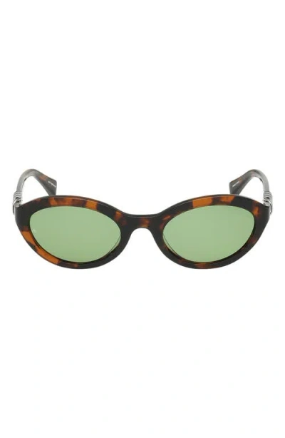 Rag & Bone 52mm Oval Sunglasses In Brown