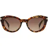 Rag & Bone 53mm Cat Eye Sunglasses In Brown