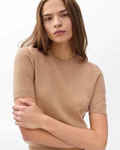 Rag & Bone Adeline Lightweight Cashmere Tee In Brown