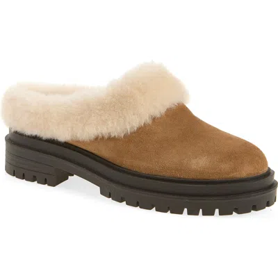 Rag & Bone Bedford Genuine Shearling Clog In Multi