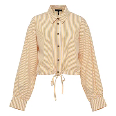 Rag & Bone Georgie Stripe Poplin Shirt In Brown
