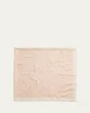 Rag & Bone Miriam Floral Silk-blend Scarf In Sand
