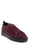 Rag & Bone Perry Sneaker In Burgundy