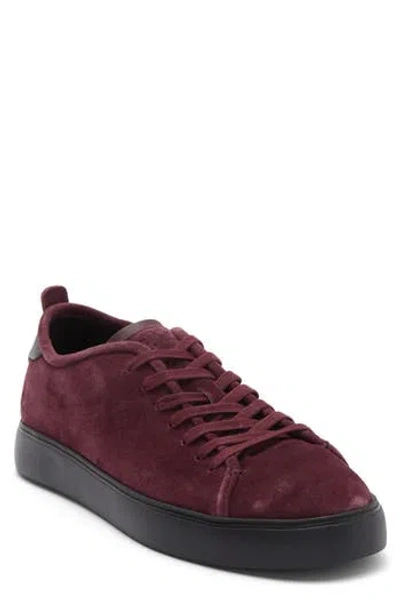 Rag & Bone Perry Sneaker In Burgundy