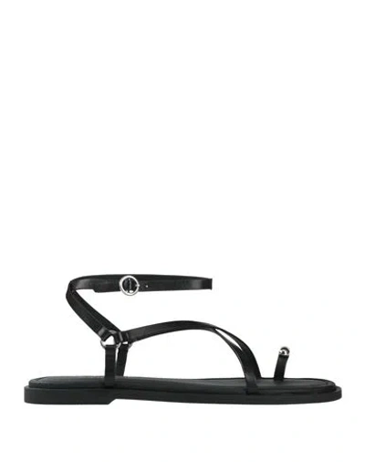 Rag & Bone Woman Thong Sandal Black Size 8 Leather