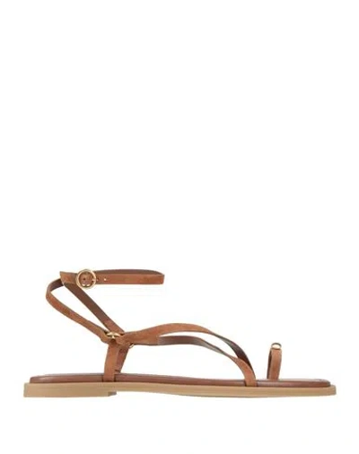 Rag & Bone Woman Thong Sandal Camel Size 8 Leather In Brown