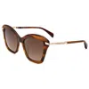 Rag & Bone Women's 53mm Brown Horn Sunglasses In Multi