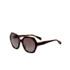 Rag & Bone Women's Sunglasses In Brown