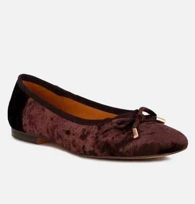 Rag & Co Buckrose Velvet Bow Ballerinas In Brown
