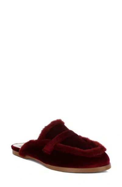 Rag & Co Malta Faux Fur Trim Velvet Mule In Burgundy