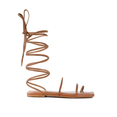 Rag & Co Amatha Tan Essential Toe Ring Summer Leather Flats In Brown