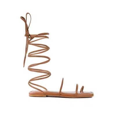 Rag & Co Women's Brown Amatha Tan Essential Toe Ring Summer Leather Flats By