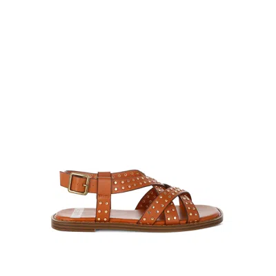 Rag & Co Women's Brown Anemone Studded Flat Gladiator Sandals In Tan