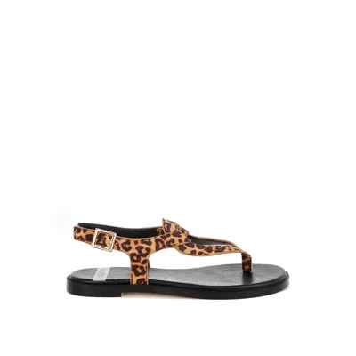Rag & Co Women's Brown Venusa Leopard Print Buckled Flats In Leopard